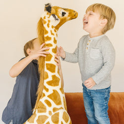Stuffed Animals